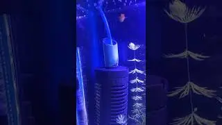 DIY Sponge filter #tanktokaquatics #shorts #viralshort