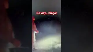 No Way Firework Fail #shorts #fireworkfails