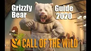 theHunter: Call of the Wild &mdash; руководство по медведям-гризли 2020