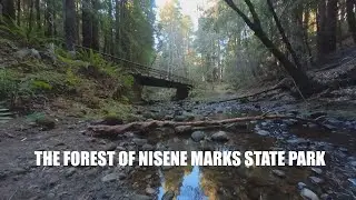 Day Hike at The Forest of Nisene Marks State Park