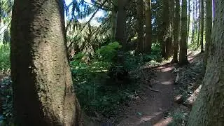 Genialer Trail