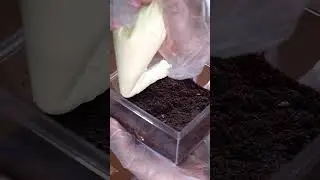 Siapa yang mau coba Toblerone Dessert Box? #bittersweetbynajla #food #najlabisyir #dessert