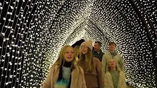 Lightscape 2024: The Garden at Night Shines Big & Bright