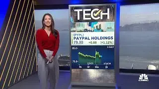 PayPal begins search for Dan Schulman's successor