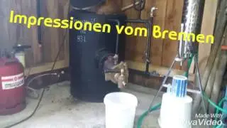 Schnaps entsteht - Zwetschgenbrand
