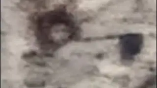 3I/ATLAS Photo Shows Man Or Angel With Afro (HEAVY) 