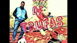 Busqueda de #trufas, #perros truferos en acci&oacute;n