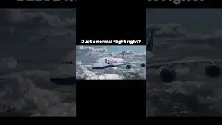 The best emergency landing #aviation #emergencylanding #edit #shorts #airplaneaccident #shortfeed