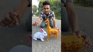 Rc Rabbit and Battery Operator Giraffe Or Testing Dekho 🥺