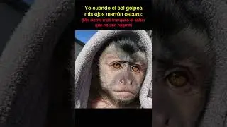 Para que vean que si son marrones😔 #humor #memes #shortvideo