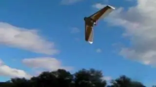 aile volante R/C accro shoot nono