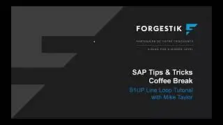 Webinar | Coffee Break | 2021 04 22 | Boyum B1UP Tutorial For SAP Business One: Line Loops