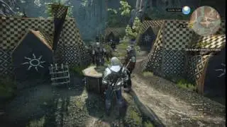 The Witcher 3: Wild Hunt &ndash; shaking gltich