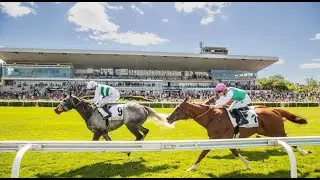 【SAINT-CLOUD】FRENCH HORSE RACE ANALYSIS - CHECK OUT ONE OF THE BEST ☆☆☆ TOO!!