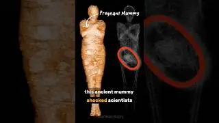 The Pregnant Mummy of Egypt | A 3,000-Year-Old Mystery No One Can Explain