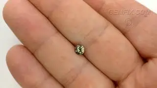 Olive Green Montana Sapphire Round Brilliant Cut | .65cts | #12-941