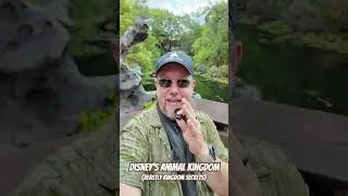 Disney&rsquo;s Animal Kingdom Secrets | Beastly Kingdom Dragon? #disney