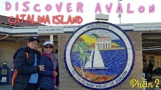 DISCOVER AVALON | KH&Aacute;M PH&Aacute; TH&Agrave;NH PHỐ AVALON | CATALINA ISLAND | LOS ANGELES | CALIFORNIA | P.2