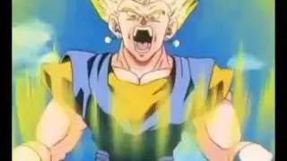Vegetto vs Super Buu
