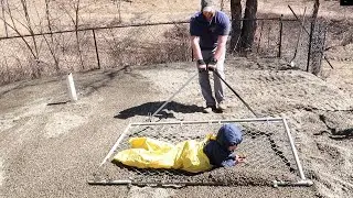 Pea Stoning The Dog Pen