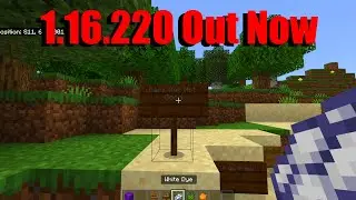Minecraft 1.16.220 Update Out Now: All Features