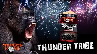 Thunder Tribe - 04214 | CAT F2 | Official video