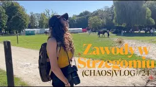 JEDZIEMY NA ZAWODY! | Chmiel zaczyna pracę na lonży! | (CHAOS)VLOG #24