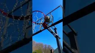 Basketball Stuck In The Rim
