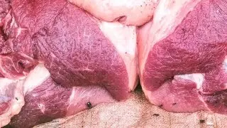 Most Amazing Meat Cutting Skills // Fresh Meat Cutting in Butcher Shop