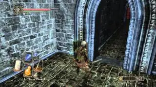 Dark Souls II - Belfry Sol: Immolation Spell, Snake Troches, Thunder Quartz Ring +1, Human Effigy