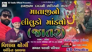 🔴લાઈવ/VISHAL YOGIRAJ-ANKIT BALVA // હવજીભા દાદાની ભક્તિની માતાજીનો લીલુડો માંડવો ,ગોતા // AD Studio