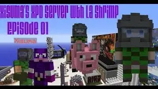 XPD Server intro