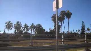 Pritchardia Palms / Maui