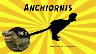 Anchiornis: Dinosaur of the Day