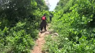 Yercaud Trek: A Journey Amidst a Flutter of Butterflies