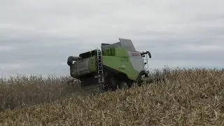 Mais dreschen mit Claas Lexion 750 TERRA TRAC - LU Schwägerl - u.a. Kabine