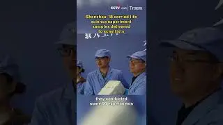 Shenzhou-18 carried life science experiment samples delivered to scientists