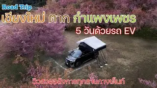 ขับรถ EV เที่ยวเชียงใหม่ ตาก อุทัยธานี 5 วัน 4 คืน | ดูซากุระจุกๆ บานเต็มๆ | พาลูกเที่ยว