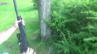Gamo Accu Whisper Pellet Gun Overview, .177 Air Gun
