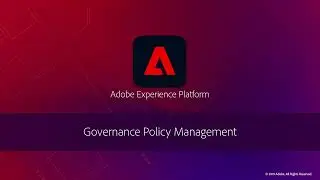 Обзор управления данными Adobe Experience Platform 1