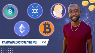 Первый биткоин, выпущенный на Cardano! НОВЫЙ TVL-рейтинг и принятие стейблкоина!