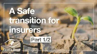 A safe transition for insurers part 1/2 &ndash; Tackling climate risk through transition planning