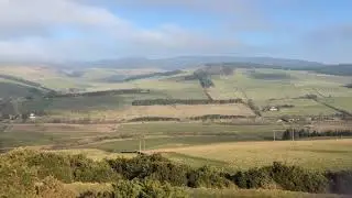 IMG 0528