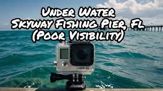 Dropped GoPro Into Water at Skyway Pier | Underwater Footage