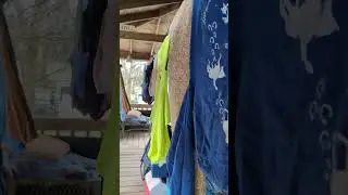 Laundry Day @TFO-Farm-DebPeterson