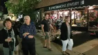 Lisa Rott and friends; Palm Ave First Friday Sarasota