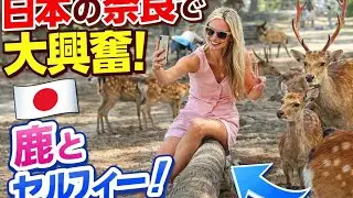 こんな楽しい公園他に無い💞 笑顔を笑いが止まらない外国人観光客| 