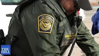Senate holds hearing on ICE Director nominee | FULL HEARING