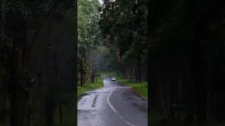 #naturalillusion #প্রকৃতি
