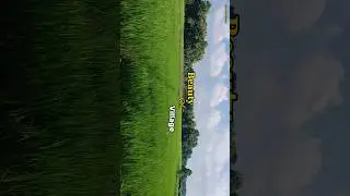 Beauty of Village 🤩🍃 #village #nature #cinematic  #shorts #shortvideo #youtubeshorts #landscape #yt